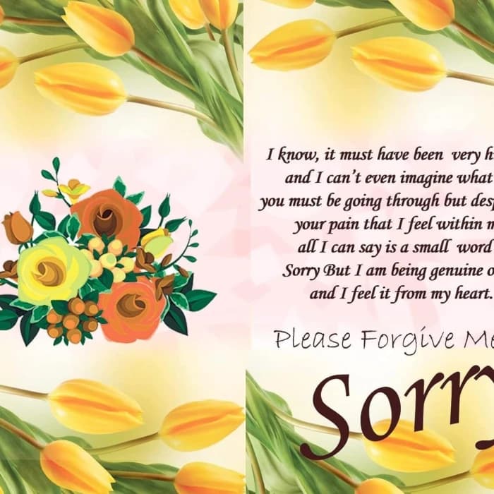 Apology Gift Combo Card, Chocolate, Teddy & Carry Bag cover image 1