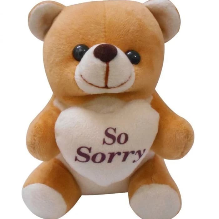 Sorry Gift Combo – Soft Teddy, Smiley Cushion & Apology Greeting Card cover image 4