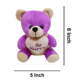 Sorry Gift Combo – Soft Teddy Bear with 5 Dairy Milk Chocolates thumbnail 2