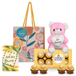 Apology Gift Combo Card, Chocolate, Teddy & Carry Bag thumbnail 1