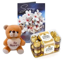 Apology Gift Set Sorry Card, Chocolate & Soft Teddy Bear thumbnail 1