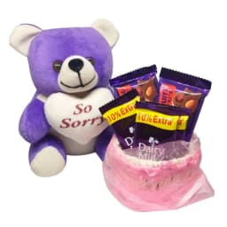 Sorry Gift Combo – Soft Teddy Bear with 5 Dairy Milk Chocolates thumbnail 1