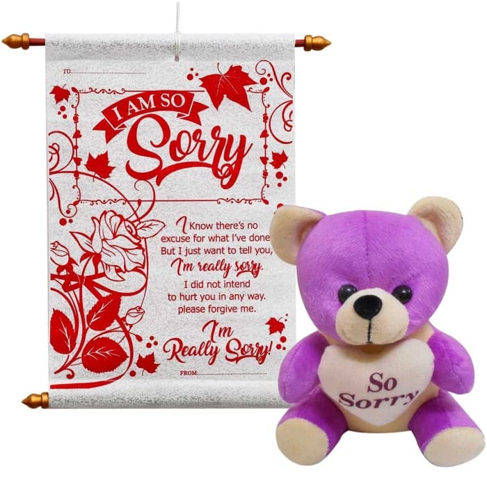Sorry Gift Combo – Apology Greeting Card & Small Soft Teddy Bear cover image 4