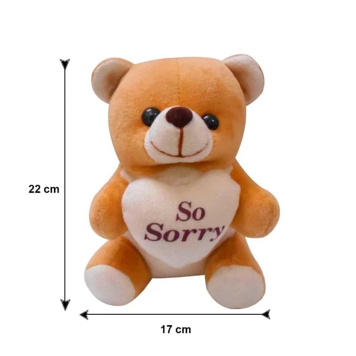 Sorry Gift Combo – Apology Greeting Card & Small Soft Teddy Bear cover image 3