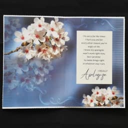 Sorry Gift Combo – Apology Greeting Card & Small Soft Teddy Bear thumbnail 3