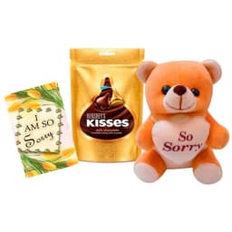 Apology Gift Set Sorry Card, Chocolate & Soft Teddy Bear thumbnail 1