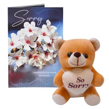 Sorry Gift Combo – Apology Greeting Card & Small Soft Teddy Bear