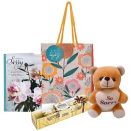 Sorry Gift Combo for Girlfriend Card, Teddy Bear, Chocolate & Carry Bag thumbnail 1