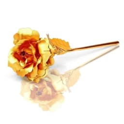 Sorry Gift Combo – Apology Card, Golden Rose & Dairy Milk Fruit & Nut Chocolates thumbnail 4
