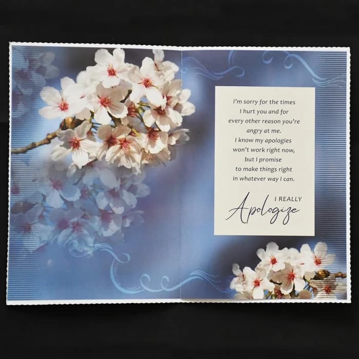 Apology Gift Set Sorry Card, Chocolate & Soft Teddy Bear cover image 3