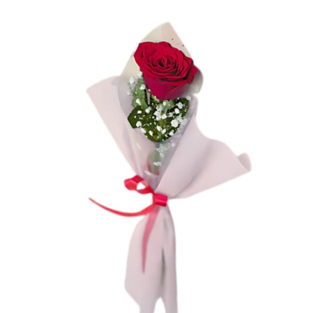 Single Red Rose Bouquet Classic Love Flower
