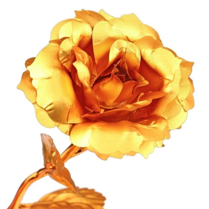 Apology Gift Combo Sorry Card, Golden Rose & Chocolate cover image 6