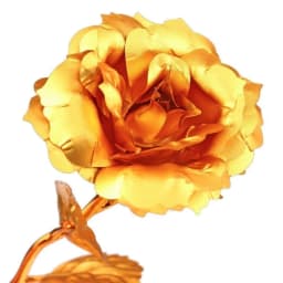 Apology Gift Combo Sorry Card, Golden Rose & Chocolate thumbnail 7