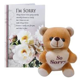 Sorry Gift Combo – Cute Teddy Bear & Apology Greeting Card thumbnail 6