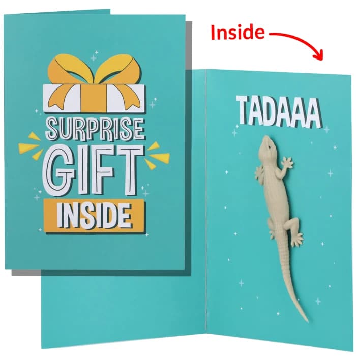 Prank Lizard Greeting Card Funny Gift for Friend, Boyfriend, Girlfriend, or Sibling