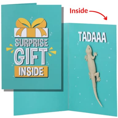Prank Lizard Greeting Card Funny Gift for Friend, Boyfriend, Girlfriend, or Sibling