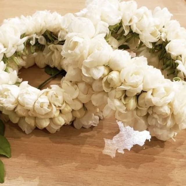 White Jasmine Gajray | Fresh Bridal Gajra for Weddings & Events