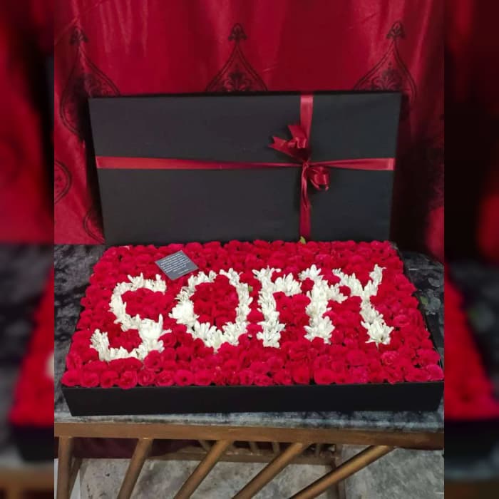 Sorry XXL Red Rose Box with Balloons Apology Flower Gift Pakistan cover image 1